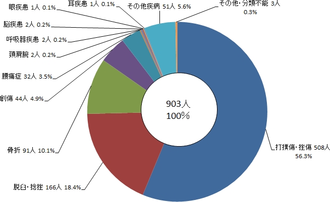 図5 演習訓練時における負傷者等の傷病名別人数