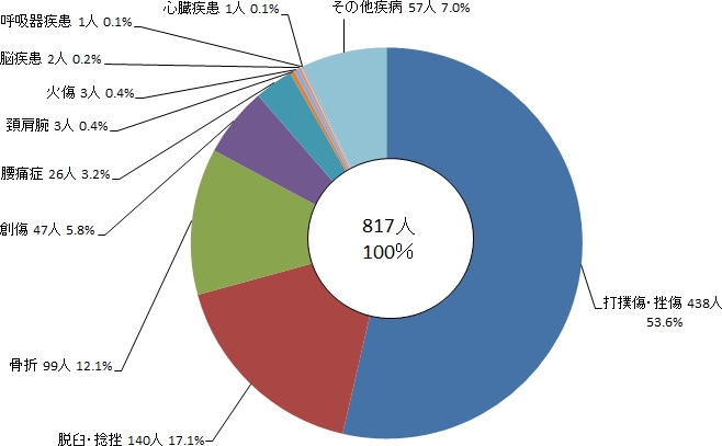 図5 演習訓練時における負傷者等の傷病名別人数