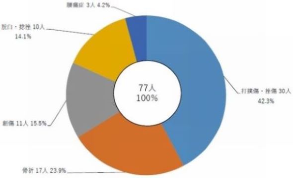 図5 演習訓練時における負傷者等の傷病名別人数