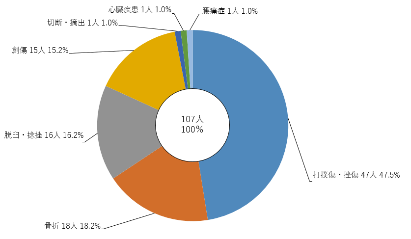 図5 演習訓練時における負傷者等の傷病名別人数